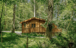 SHAFTESBURY FRESH MINDS CIC