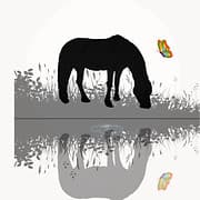 IT STARTED WITH LU CIC