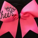 THE CHEER HOUSE CIC