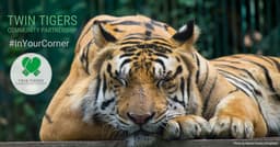 TWIN TIGERS COMMUNITY PARTNERSHIP CIC