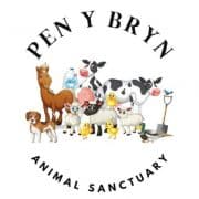 PEN Y BRYN ANIMAL SANCTUARY CIC
