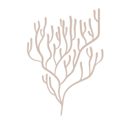 CORNWALL HOSPITALITY COLLECTIVE CIC