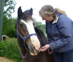 DOLLY COMMUNICATION CIC