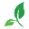 PROSIECT2020 CIC