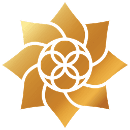 HEALTHSOURCE TOTNES COMMUNITY INTEREST COMPANY