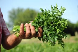 GREATER LINCOLNSHIRE FOOD PARTNERSHIP CIC