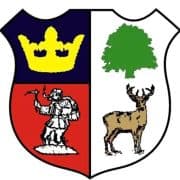 CINDERFORD TOWN FOOTBALL CLUB CIC