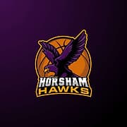 HORSHAM HAWKS BASKETBALL CLUB CIC