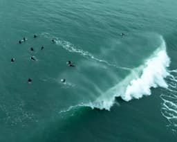 SURF MEDIA CIC