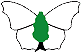 BUTTERFLY HAVEN CIC
