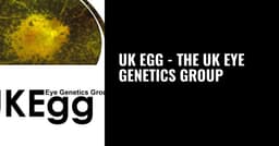 UK EYE GENETICS GROUP CIC