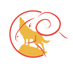 GET INTO RECOVERY CIC