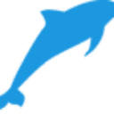 SWIM EXCELLENCE COMMUNITY INTEREST COMPANY