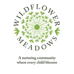 WILDFLOWER MEADOWS PROVISION CIC