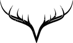 THE WILD HAVEN PROJECT CIC