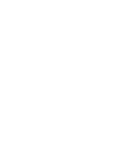 WILD IN THE WOODS CIC