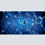 NEUROINCLUSIVE.UK COMMUNITY INTEREST COMPANY