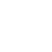 FACTORUM COMMUNITY C.I.C.