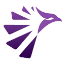 YOUTH VISIONARIES CIC