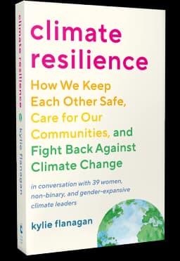 CLIMATE RESILIENCE C.I.C.