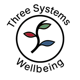 3 SYSTEMS WELLBEING C.I.C.
