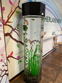 AQUA EXPLORER C.I.C.