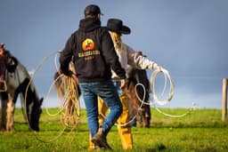 BLACK BEARING RANCH CIC