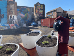 BRINK! STORIES C.I.C.