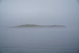 CURIOUS PILGRIMS CIC