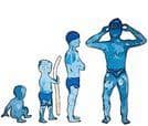 EVOLUTION SWIM SCHOOL C.I.C.