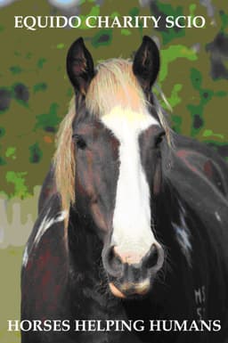 PHANTOM'S LEGACY CIC