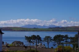 YES YOUR ENTIRE SELF CIC