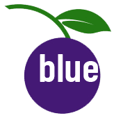 ABERDEEN BLUEBERRY WELLNESS CIC