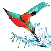 TAKE TO THE WATER CIC