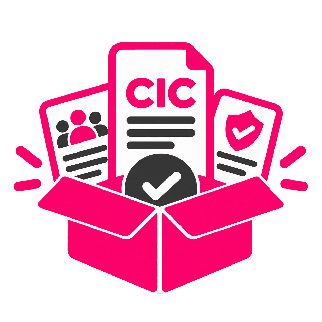 Illustration of the CIC Tools Policy Pack