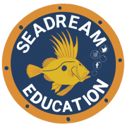 SEADREAM EDUCATION CIC
