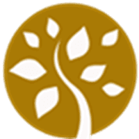 CATALYST 4 CHANGE COMMUNITY INTEREST COMPANY