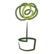BAY TREE COOKERY ACADEMY COMMUNITY INTEREST COMPANY