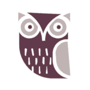 PLAYWISE LEARNING CIC