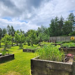 VEG IN THE PARK C.I.C.
