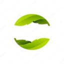 EDEN SOLUTIONS NETWORK COMMUNITY INTEREST COMPANY