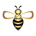 THE HIVE ALLIANCE CIC