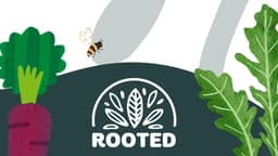 ROOTED COMMUNITY FOOD CIC