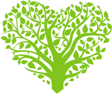 THE LIFESTYLE HEALTH FOUNDATION CIC
