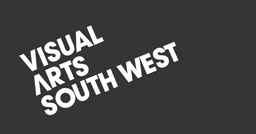 VISUAL ARTS SOUTH WEST COMMUNITY INTEREST COMPANY