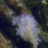 RADICAL ECOLOGY CIC