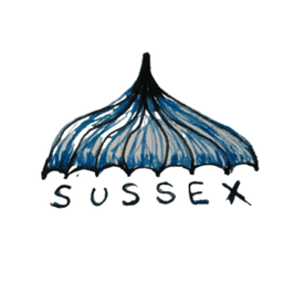 UMBRELLA SUSSEX CIC