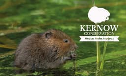 KERNOW CONSERVATION CIC