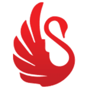 SWAN TV COMMUNITY INTEREST COMPANY