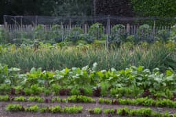 POTAGER COMMUNITY GARDEN CIC